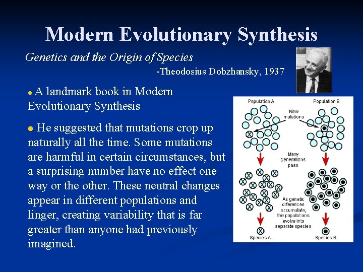 Modern Evolutionary Synthesis Genetics and the Origin of Species -Theodosius Dobzhansky, 1937 A landmark