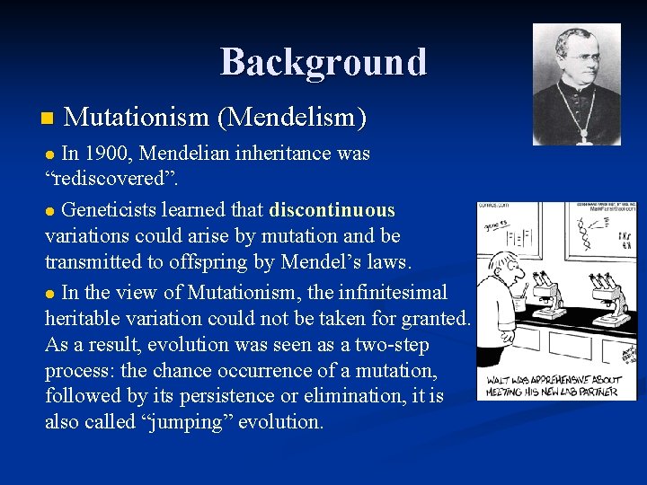 Background n Mutationism (Mendelism) l In 1900, Mendelian inheritance was “rediscovered”. l Geneticists learned