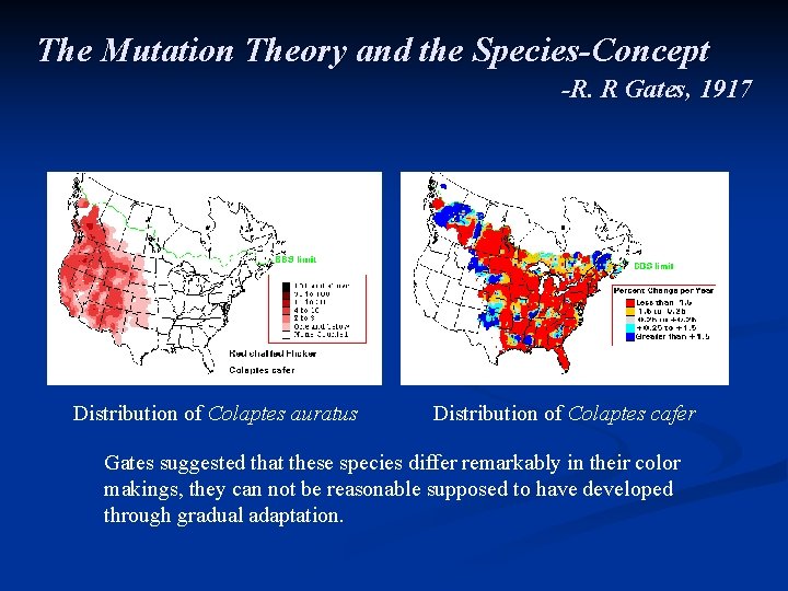 The Mutation Theory and the Species-Concept -R. R Gates, 1917 Distribution of Colaptes auratus