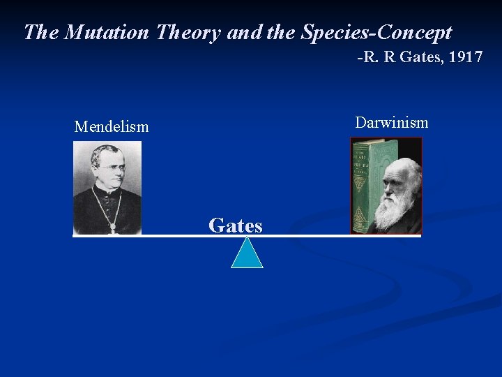 The Mutation Theory and the Species-Concept -R. R Gates, 1917 Darwinism Mendelism Gates 