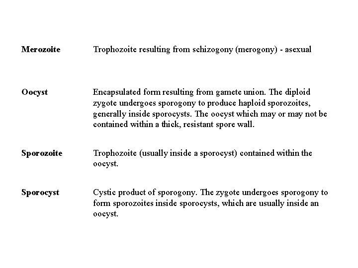 Merozoite Trophozoite resulting from schizogony (merogony) - asexual Oocyst Encapsulated form resulting from gamete