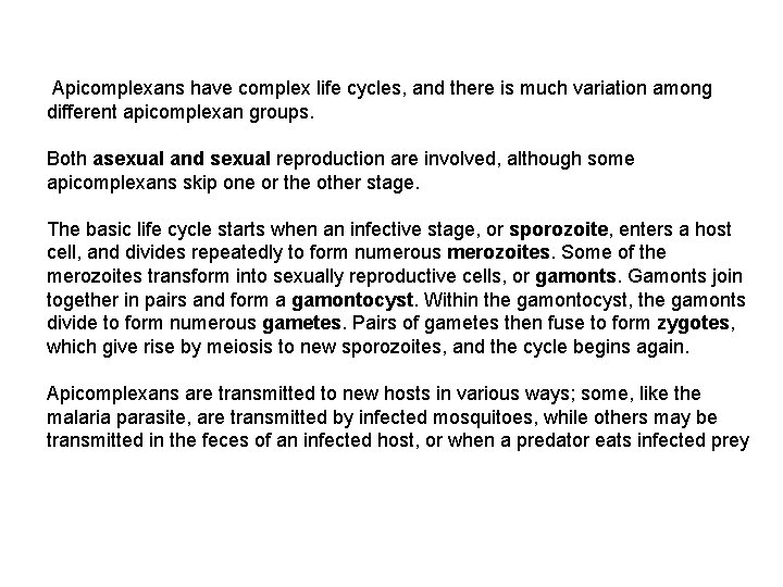  Apicomplexans have complex life cycles, and there is much variation among different apicomplexan