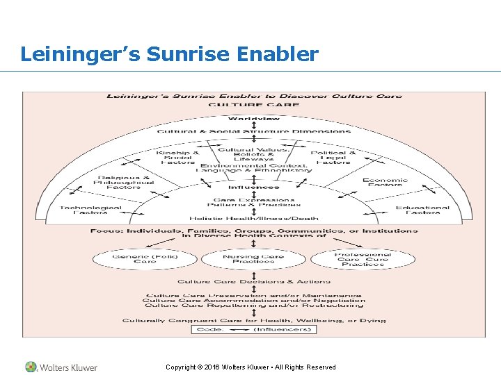 Leininger’s Sunrise Enabler Copyright © 2016 Wolters Kluwer • All Rights Reserved 