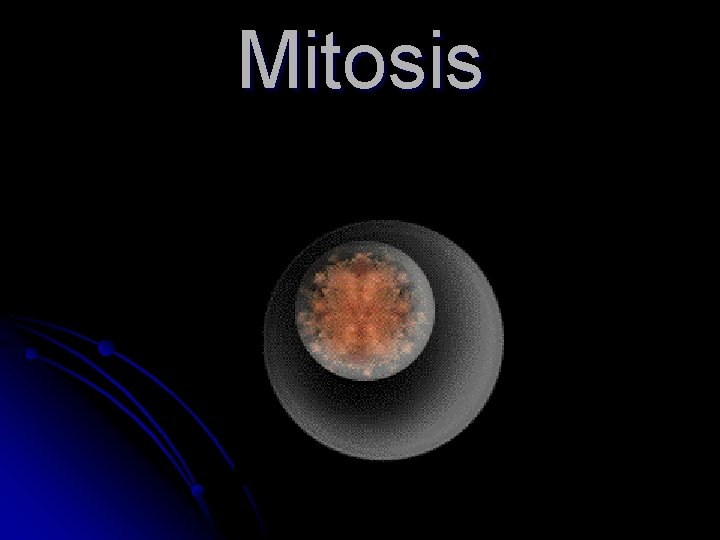 Mitosis 