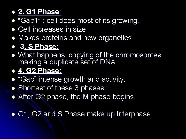 l 2. G 1 Phase: “Gap 1” : cell does most of its growing.