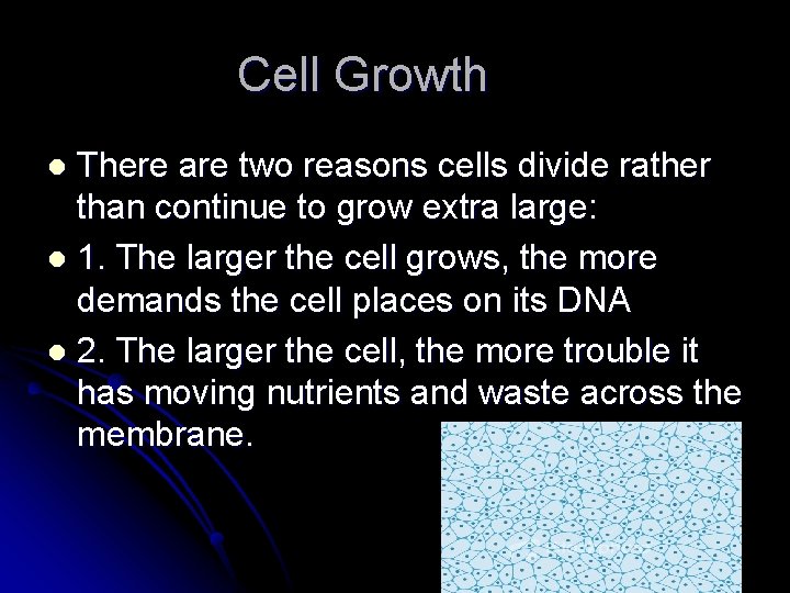 Cell Growth There are two reasons cells divide rather than continue to grow extra