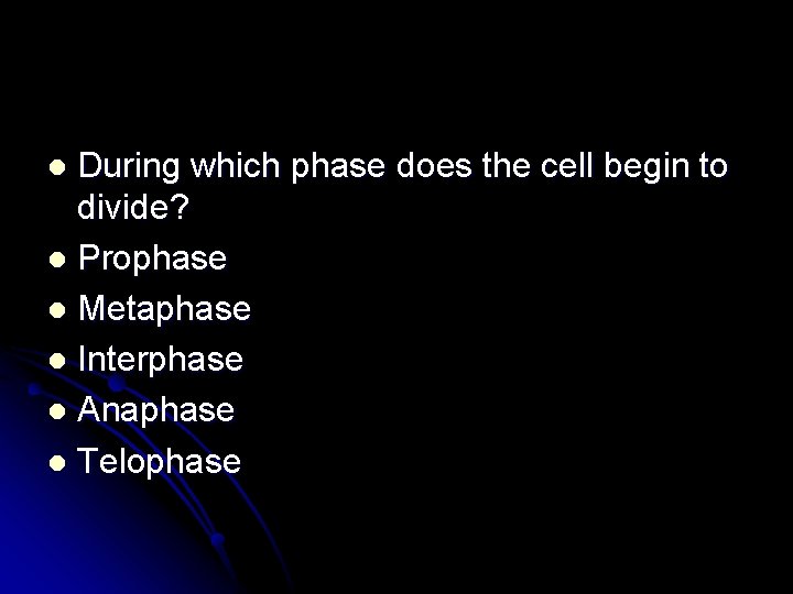 During which phase does the cell begin to divide? l Prophase l Metaphase l
