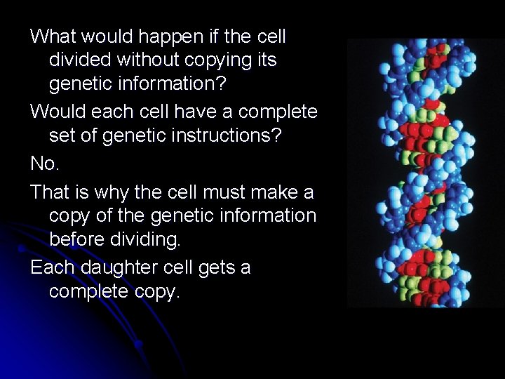 What would happen if the cell divided without copying its genetic information? Would each