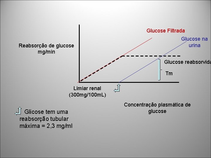 Glucose Filtrada Glucose na urina Reabsorção de glucose mg/min Glucose reabsorvida Tm Limiar renal Glucose Filtrada Glucose na urina Reabsorção de glucose mg/min Glucose reabsorvida Tm Limiar renal