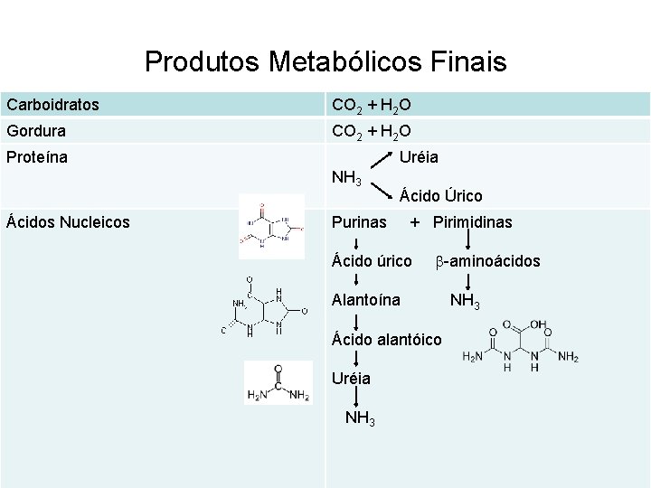 Produtos Metabólicos Finais Carboidratos CO 2 + H 2 O Gordura CO 2 + Produtos Metabólicos Finais Carboidratos CO 2 + H 2 O Gordura CO 2 +