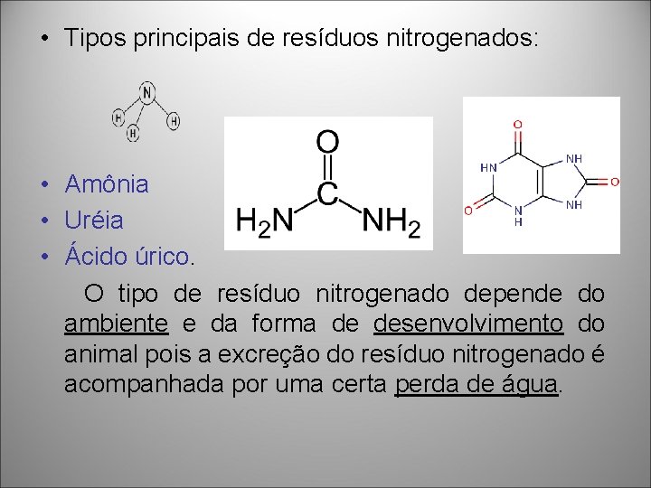 • Tipos principais de resíduos nitrogenados: • Amônia • Uréia • Ácido úrico. • Tipos principais de resíduos nitrogenados: • Amônia • Uréia • Ácido úrico.