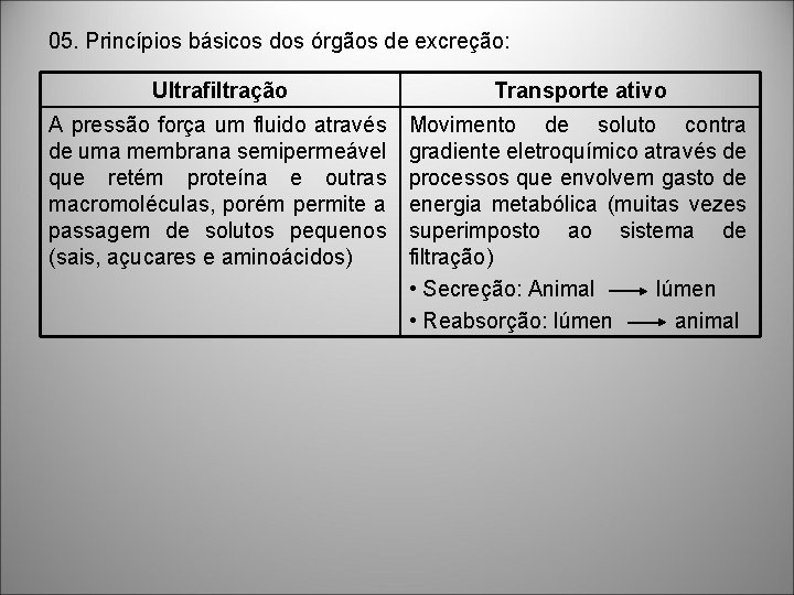 05. Princípios básicos dos órgãos de excreção: Ultrafiltração Transporte ativo A pressão força um 05. Princípios básicos dos órgãos de excreção: Ultrafiltração Transporte ativo A pressão força um