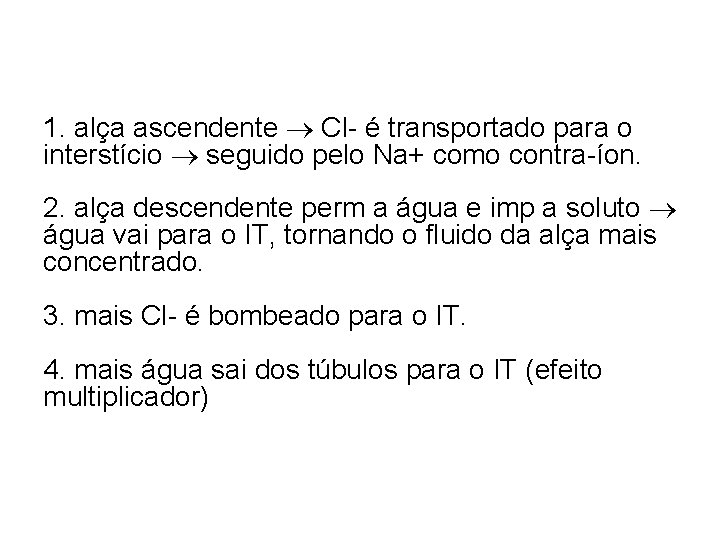 1. alça ascendente Cl- é transportado para o interstício seguido pelo Na+ como contra-íon. 1. alça ascendente Cl- é transportado para o interstício seguido pelo Na+ como contra-íon.