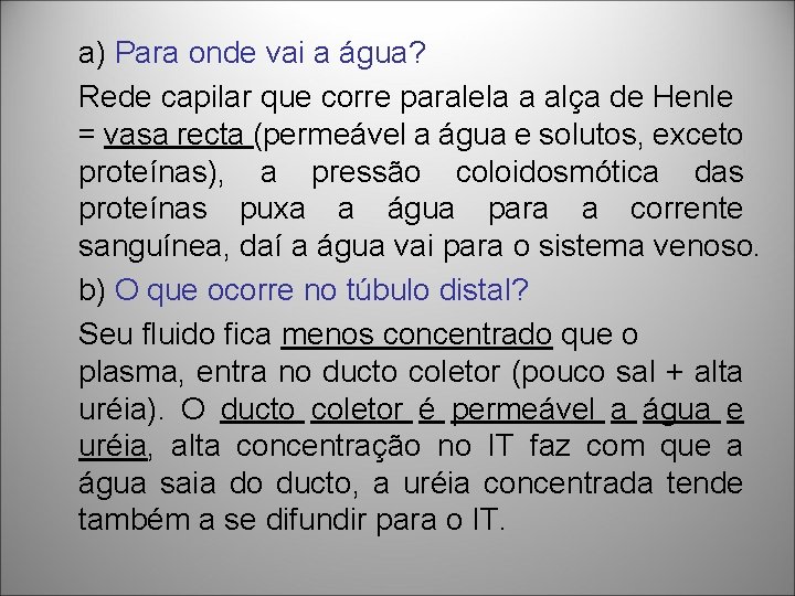 a) Para onde vai a água? Rede capilar que corre paralela a alça de a) Para onde vai a água? Rede capilar que corre paralela a alça de