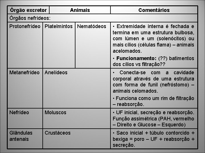Órgão excretor Animais Comentários Órgãos nefrídeos: Protonefrídeo Platelmintos Nematódeos • Extremidade interna é fechada Órgão excretor Animais Comentários Órgãos nefrídeos: Protonefrídeo Platelmintos Nematódeos • Extremidade interna é fechada