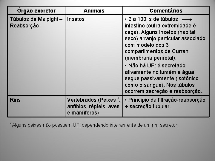 Órgão excretor Animais Túbulos de Malpighi – Insetos Reabsorção Rins * Alguns Comentários • Órgão excretor Animais Túbulos de Malpighi – Insetos Reabsorção Rins * Alguns Comentários •