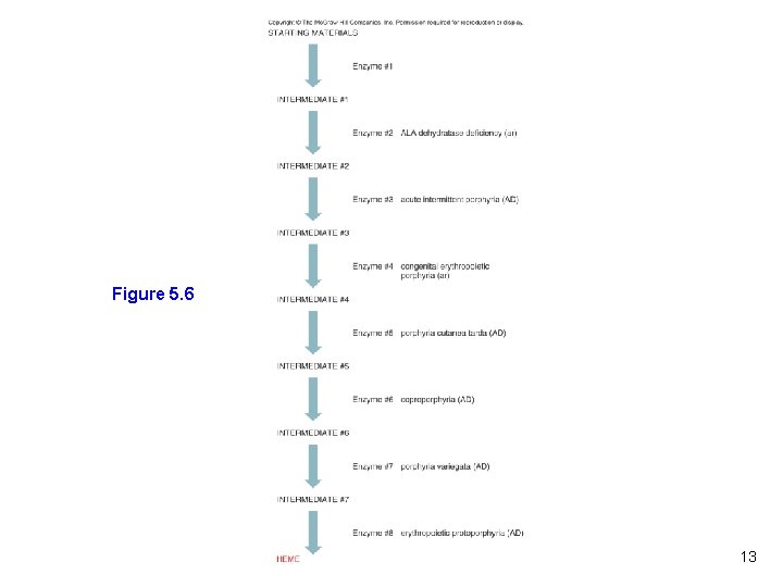 Figure 5. 6 13 