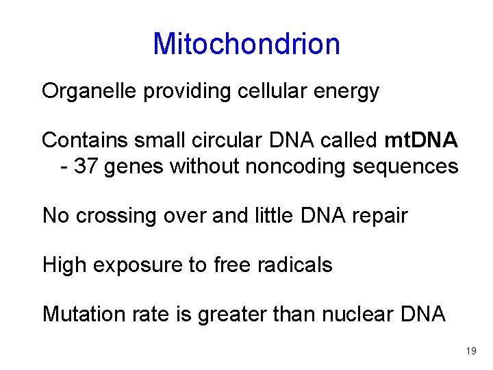 Mitochondrion Organelle providing cellular energy Contains small circular DNA called mt. DNA - 37