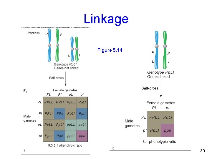 Linkage Figure 5. 14 30 