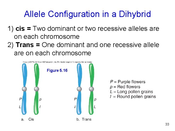 Allele Configuration in a Dihybrid 1) cis = Two dominant or two recessive alleles