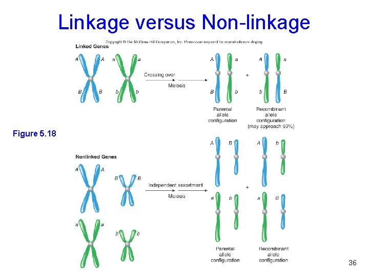 Linkage versus Non-linkage Figure 5. 18 36 