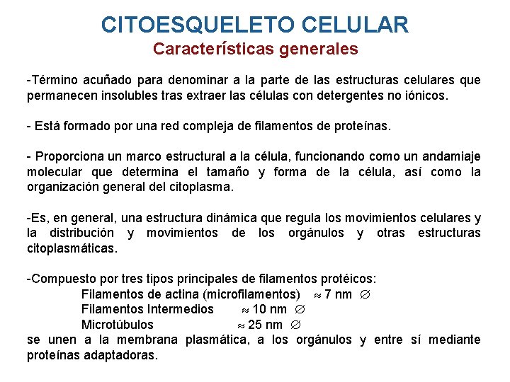 CITOESQUELETO CELULAR Características generales -Término acuñado para denominar a la parte de las estructuras CITOESQUELETO CELULAR Características generales -Término acuñado para denominar a la parte de las estructuras