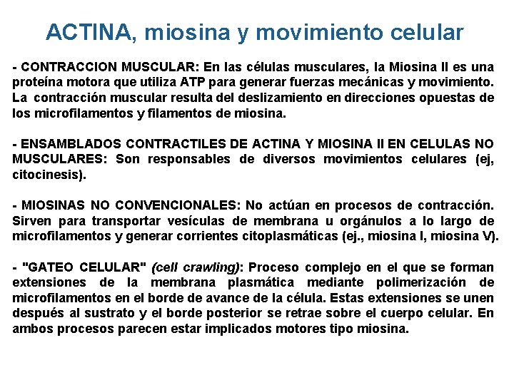 ACTINA, miosina y movimiento celular - CONTRACCION MUSCULAR: En las células musculares, la Miosina ACTINA, miosina y movimiento celular - CONTRACCION MUSCULAR: En las células musculares, la Miosina