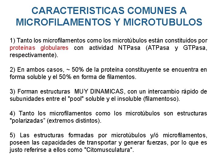 CARACTERISTICAS COMUNES A MICROFILAMENTOS Y MICROTUBULOS 1) Tanto los microfilamentos como los microtúbulos están CARACTERISTICAS COMUNES A MICROFILAMENTOS Y MICROTUBULOS 1) Tanto los microfilamentos como los microtúbulos están