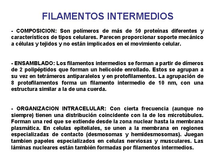 FILAMENTOS INTERMEDIOS - COMPOSICION: Son polímeros de más de 50 proteínas diferentes y característicos FILAMENTOS INTERMEDIOS - COMPOSICION: Son polímeros de más de 50 proteínas diferentes y característicos