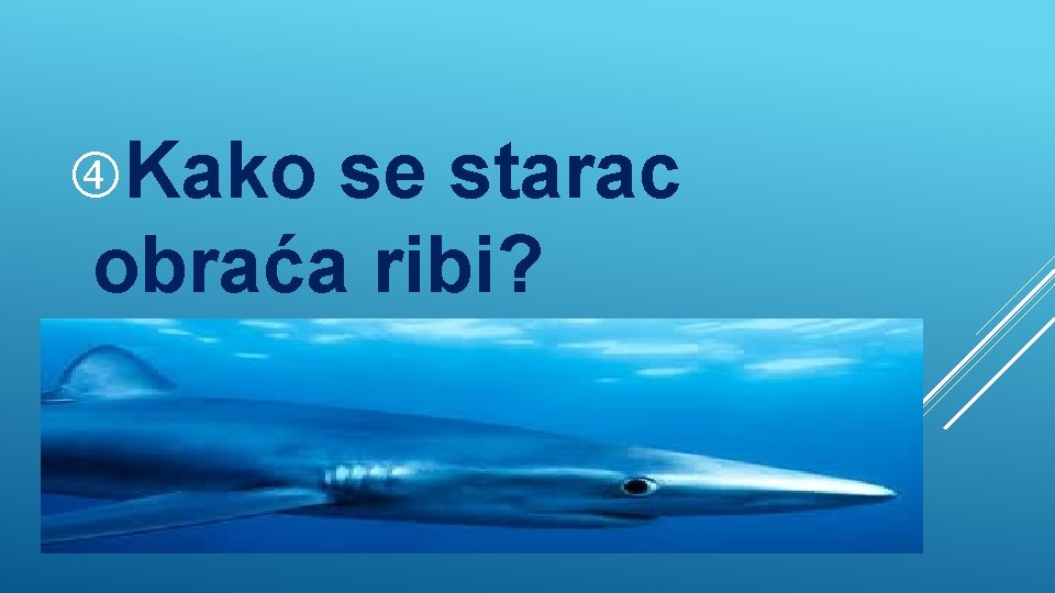  Kako se starac obraća ribi? 