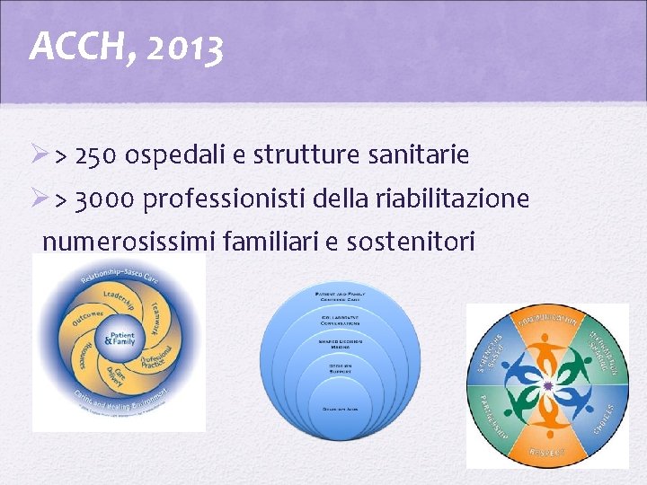 ACCH, 2013 Ø > 250 ospedali e strutture sanitarie Ø > 3000 professionisti della