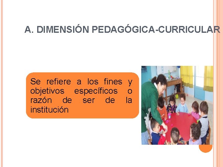 A. DIMENSIÓN PEDAGÓGICA-CURRICULAR Se refiere a los fines y objetivos específicos o razón de