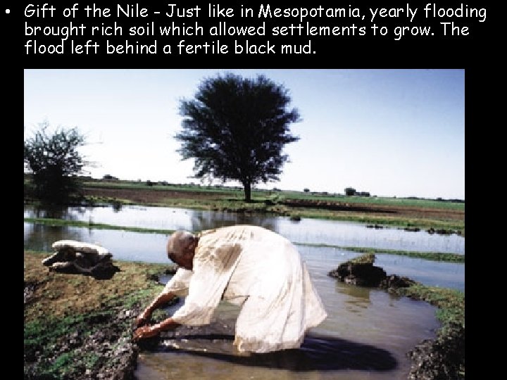 • Gift of the Nile - Just like in Mesopotamia, yearly flooding brought