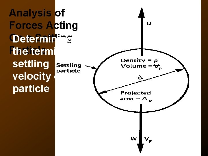 Analysis of Forces Acting On a Settling Determining Particle the terminal settling velocity of