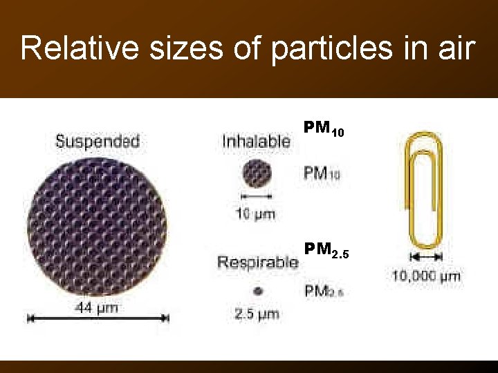 Relative sizes of particles in air PM 10 PM 2. 5 