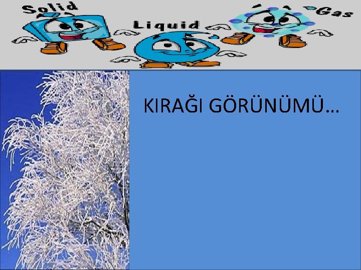 KIRAĞI GÖRÜNÜMÜ… 