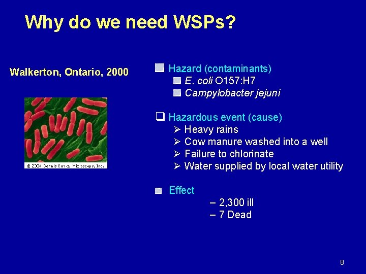 Why do we need WSPs? Walkerton, Ontario, 2000 Hazard (contaminants) E. coli O 157: