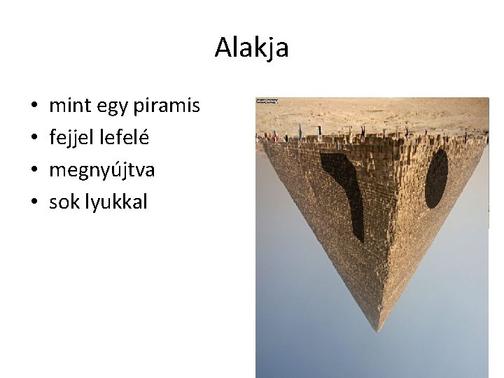 Alakja • • mint egy piramis fejjel lefelé megnyújtva sok lyukkal 