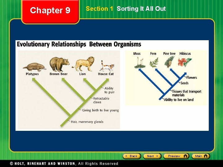 Chapter 9 Section 1 Sorting It All Out < Back Next > Preview Main