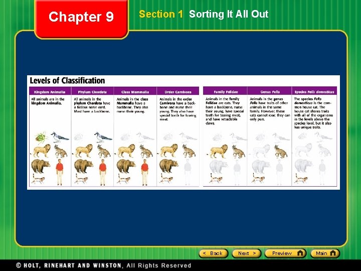 Chapter 9 Section 1 Sorting It All Out < Back Next > Preview Main