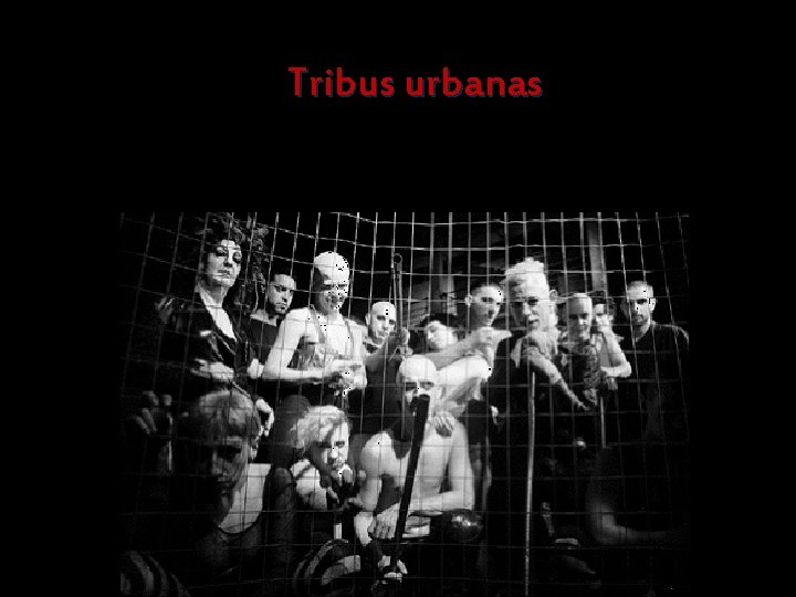 Tribus urbanas 