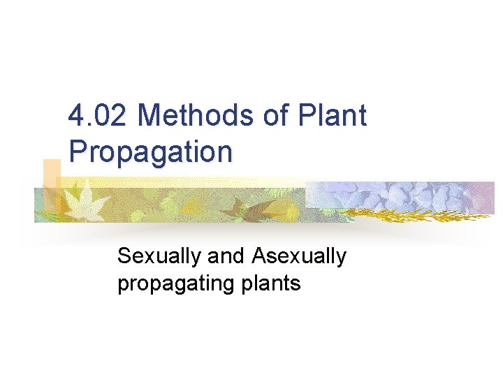 4. 02 Methods of Plant Propagation Sexually and Asexually propagating plants 