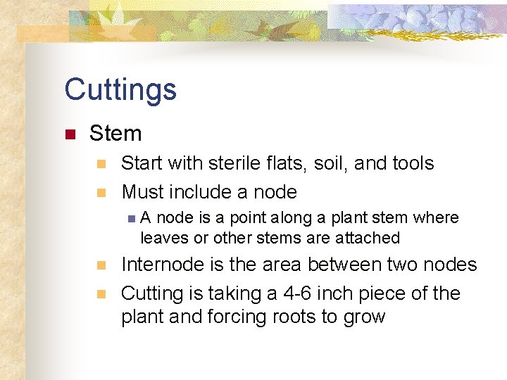 Cuttings n Stem n n Start with sterile flats, soil, and tools Must include