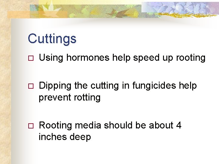 Cuttings o Using hormones help speed up rooting o Dipping the cutting in fungicides