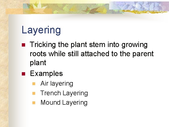 Layering n n Tricking the plant stem into growing roots while still attached to