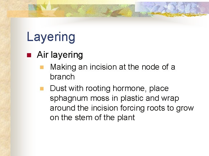 Layering n Air layering n n Making an incision at the node of a