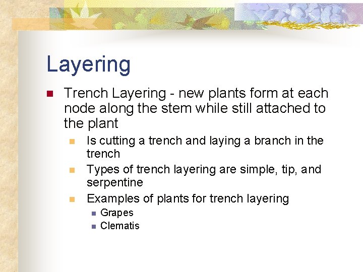 Layering n Trench Layering - new plants form at each node along the stem