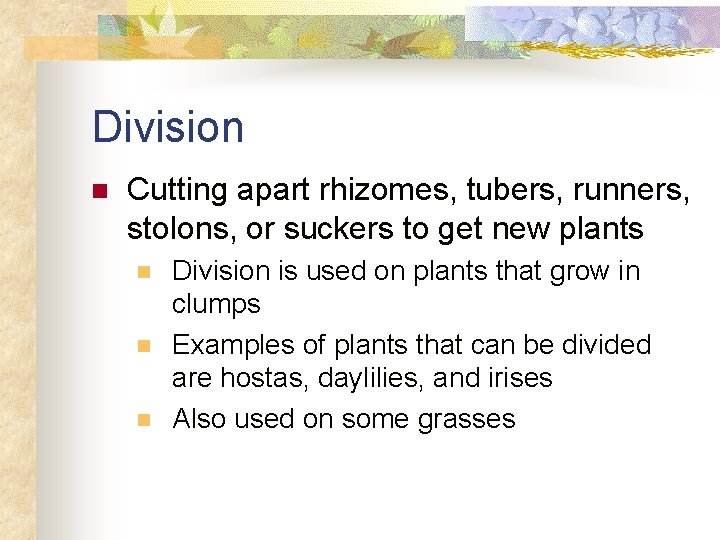 Division n Cutting apart rhizomes, tubers, runners, stolons, or suckers to get new plants