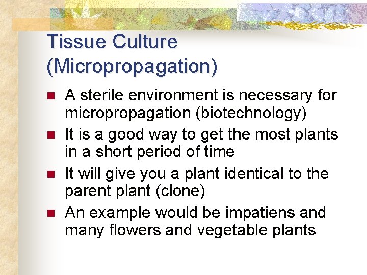 Tissue Culture (Micropropagation) n n A sterile environment is necessary for micropropagation (biotechnology) It