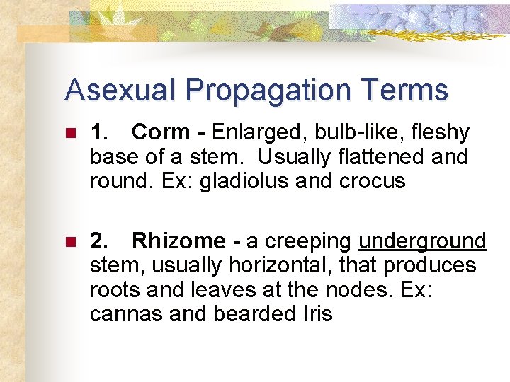 Asexual Propagation Terms n 1. Corm - Enlarged, bulb-like, fleshy base of a stem.